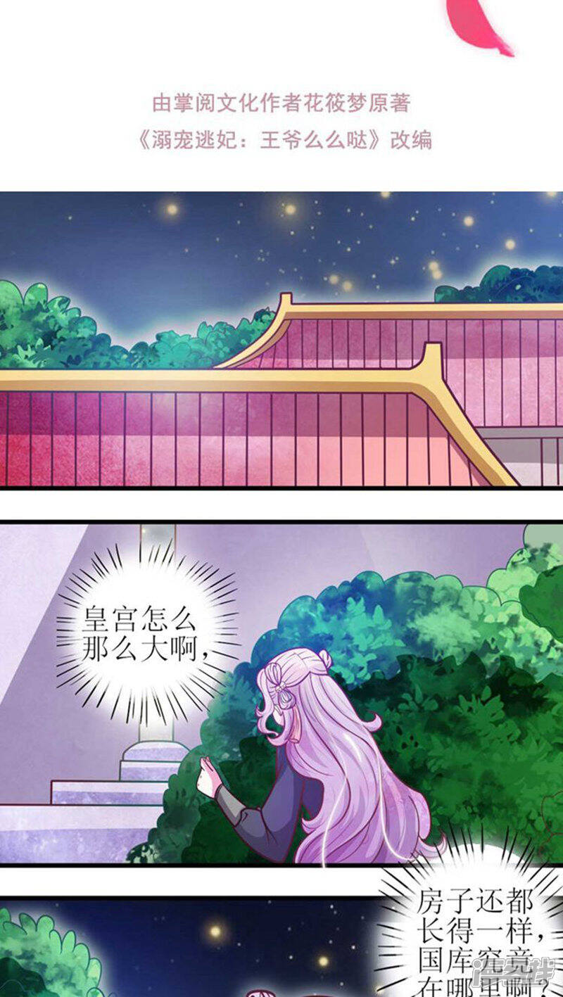 《溺宠逃妃》第33话 血债血偿 第2页