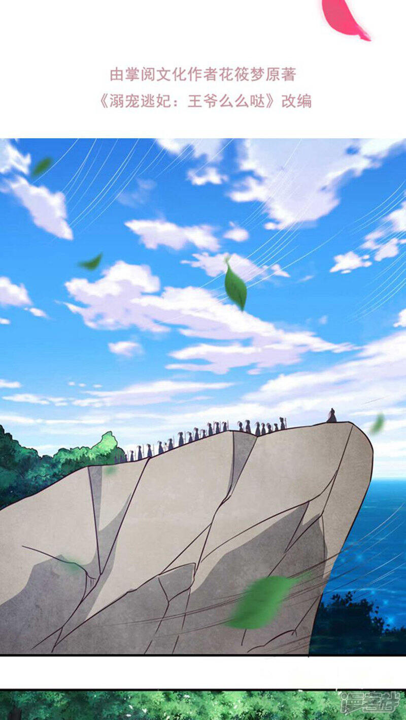 《溺宠逃妃》第53话 突袭 第2页