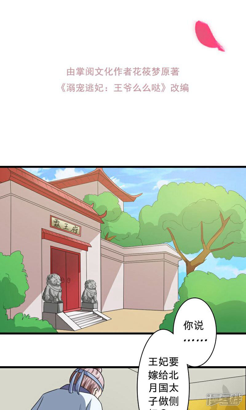 《溺宠逃妃》第102话 另一个汐儿？ 第2页