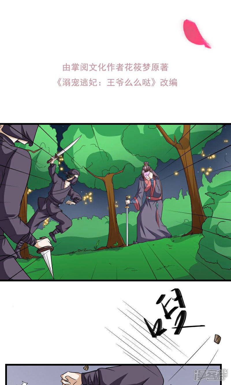 《溺宠逃妃》第105话 别跟着我 第2页