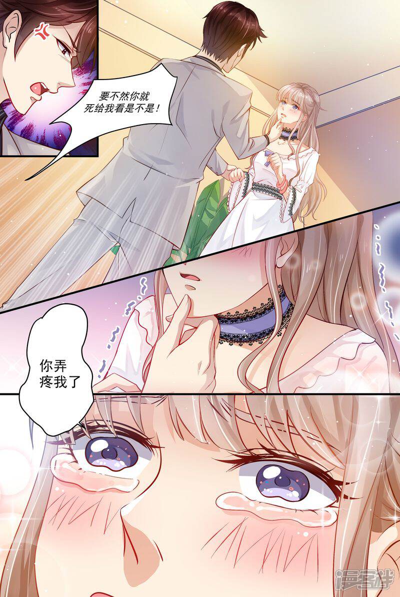 《天价豪门夫人又跑了》第10话 你弄疼我了 第3页
