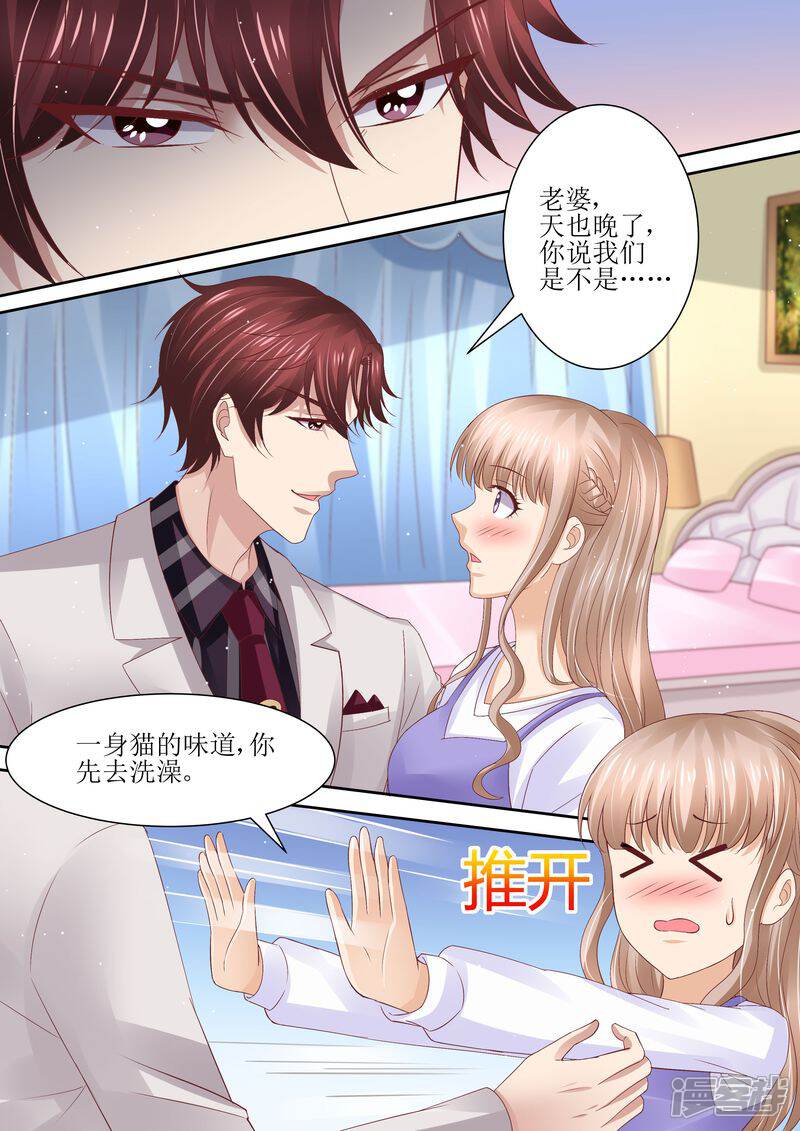 《天价豪门夫人又跑了》第73话 关于猫的往事 第1页