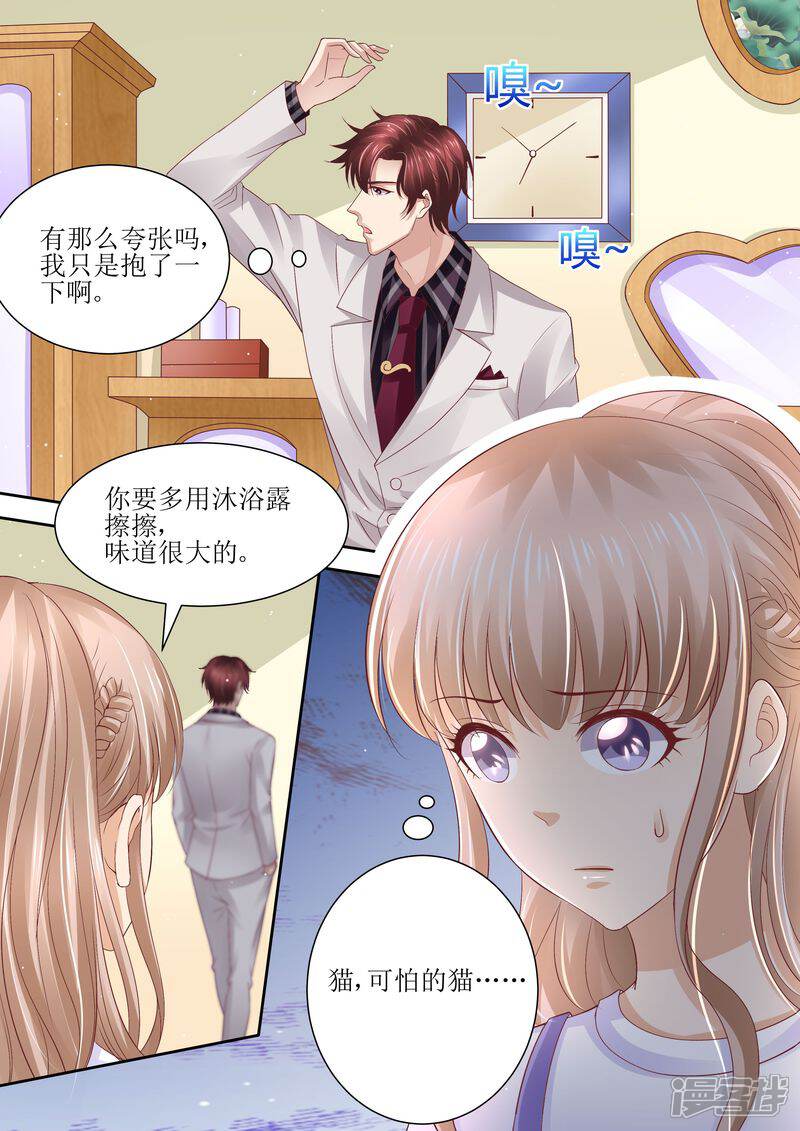 《天价豪门夫人又跑了》第73话 关于猫的往事 第2页