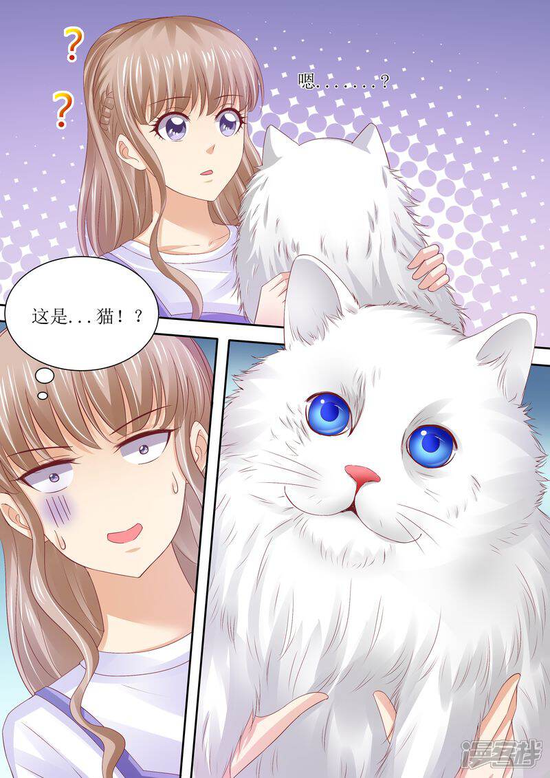《天价豪门夫人又跑了》第72话 没有爱的婚姻 第8页