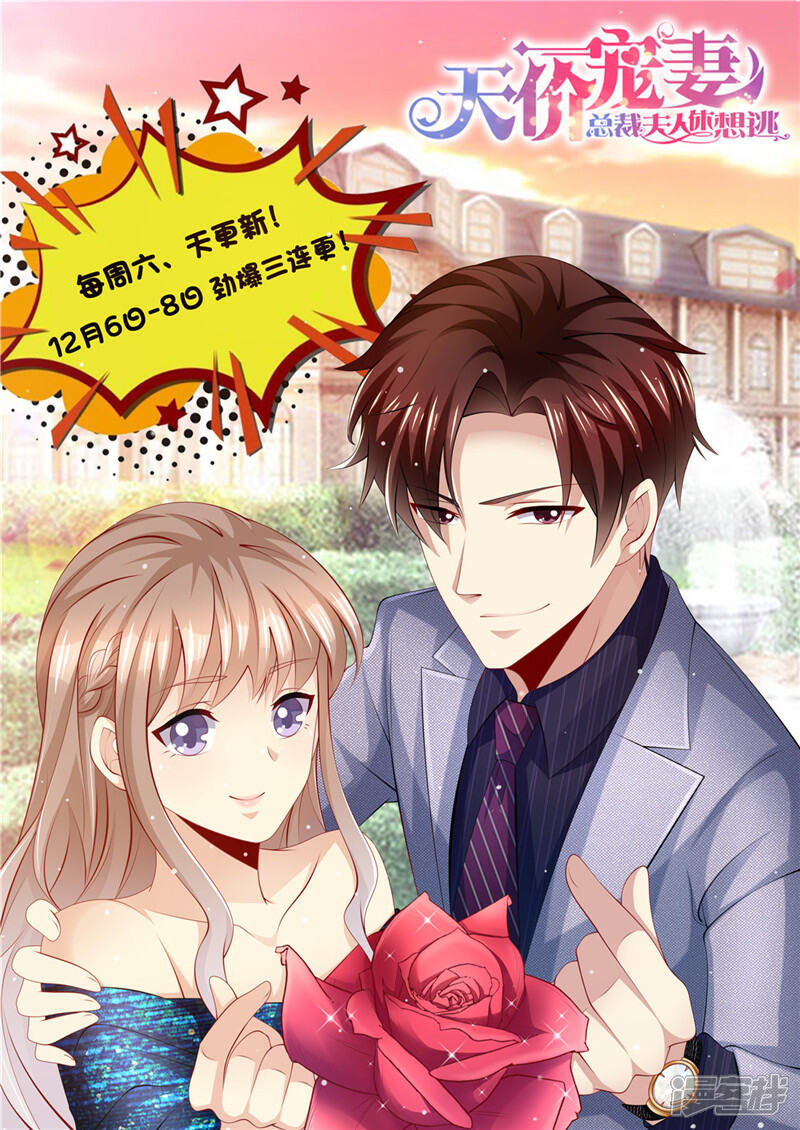 《天价豪门夫人又跑了》第178话 难忘的浪漫 第14页
