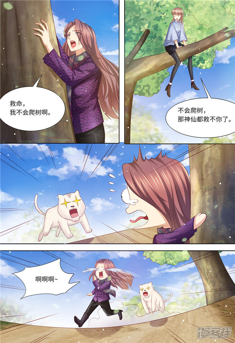 《天价豪门夫人又跑了》第197话 恶人有恶报 第4页