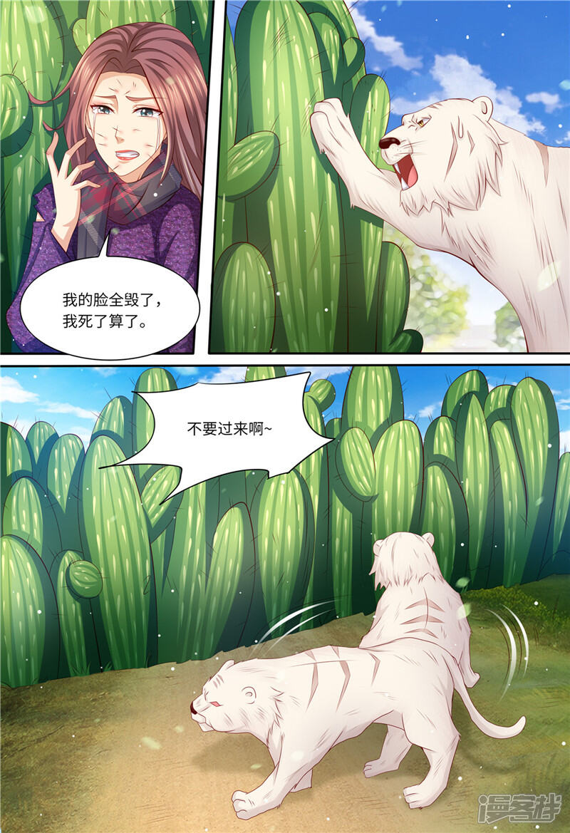 《天价豪门夫人又跑了》第197话 恶人有恶报 第7页
