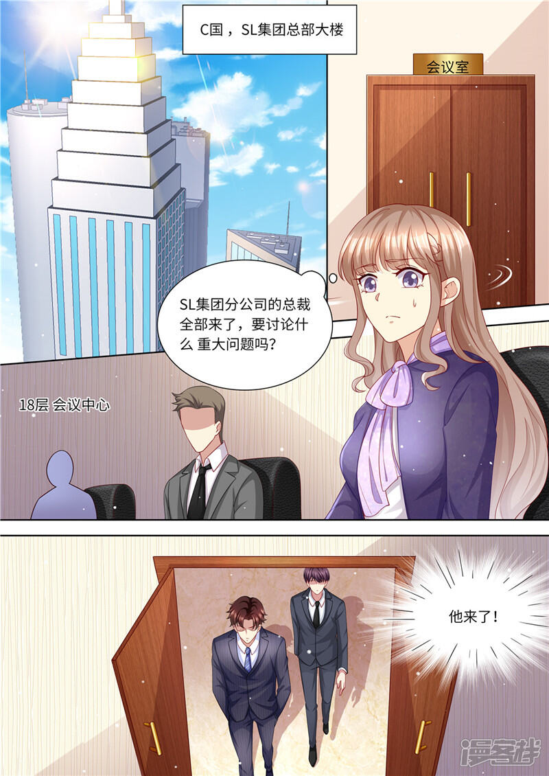 《天价豪门夫人又跑了》第224话 大胆的计划 第13页