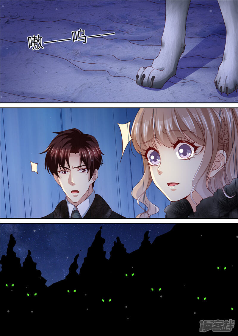 《天价豪门夫人又跑了》第308话 偷袭 第3页