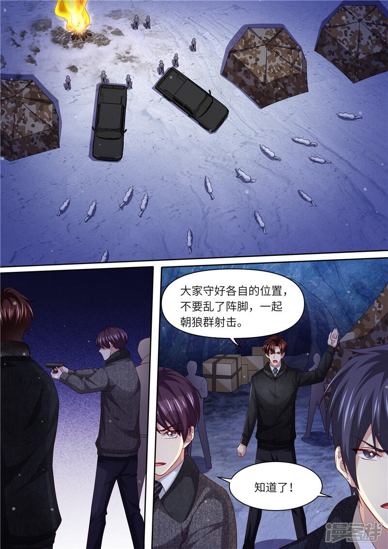 《天价豪门夫人又跑了》第308话 偷袭 第5页
