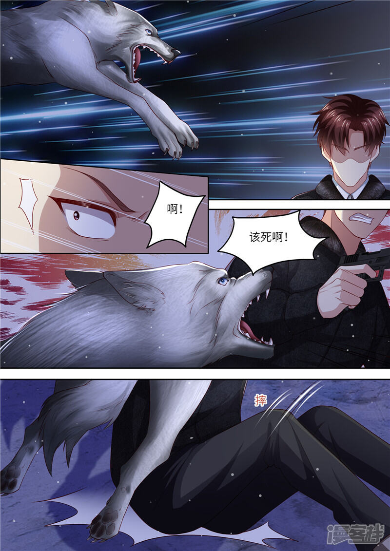 《天价豪门夫人又跑了》第308话 偷袭 第8页