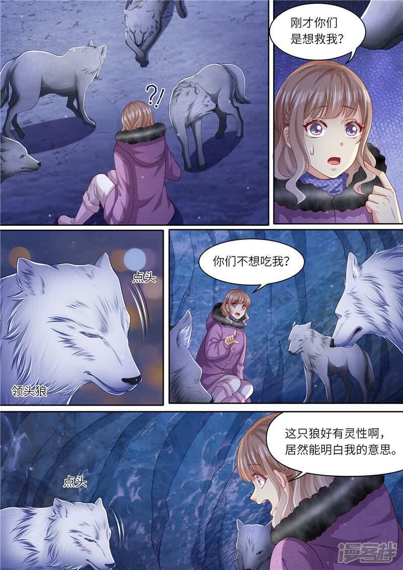 《天价豪门夫人又跑了》第309话 狼群来助 第10页