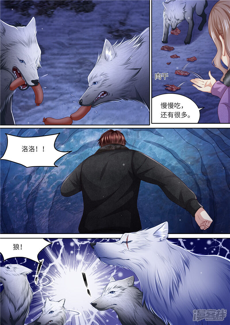《天价豪门夫人又跑了》第309话 狼群来助 第12页