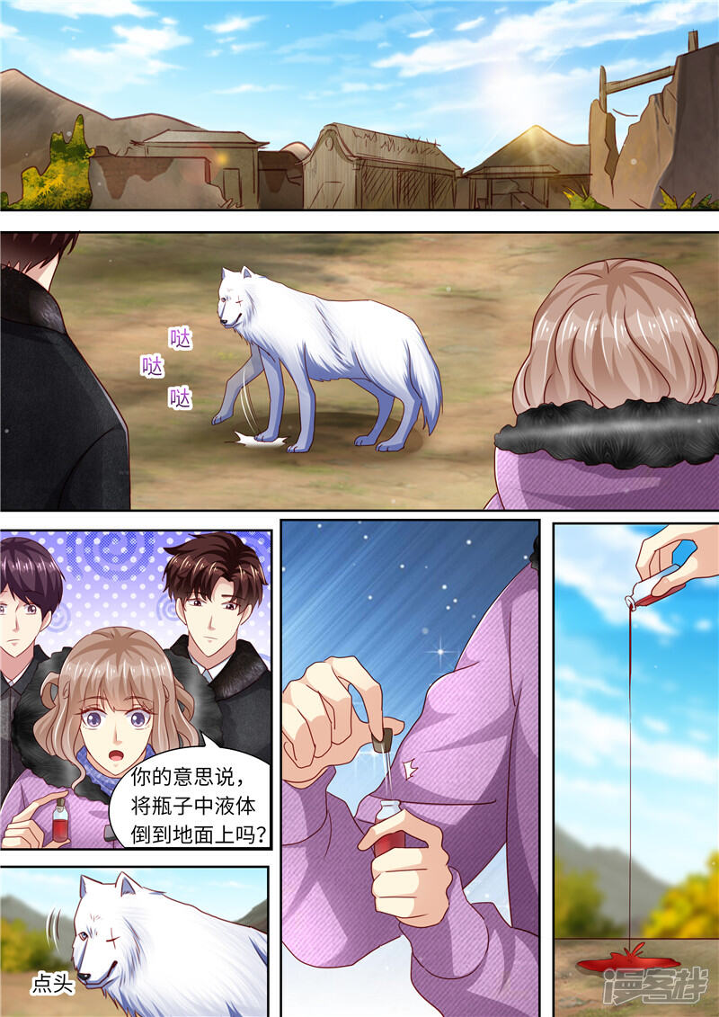 《天价豪门夫人又跑了》第325话 谢谢你，北极狼 第12页