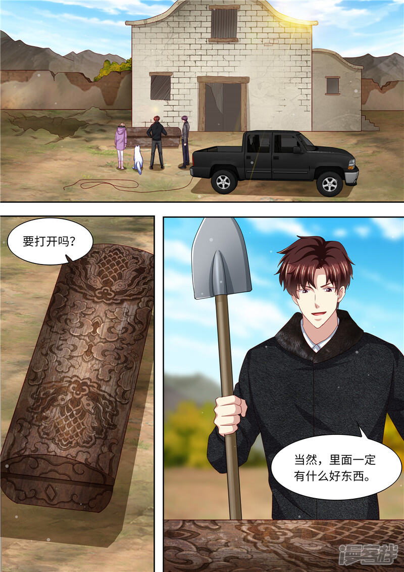 《天价豪门夫人又跑了》第325话 谢谢你，北极狼 第4页