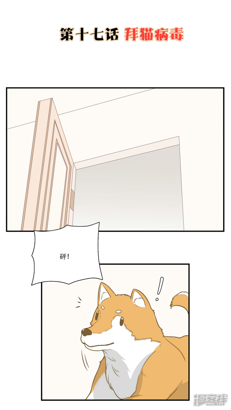《公主三十岁》第17话 拜猫病毒 第2页