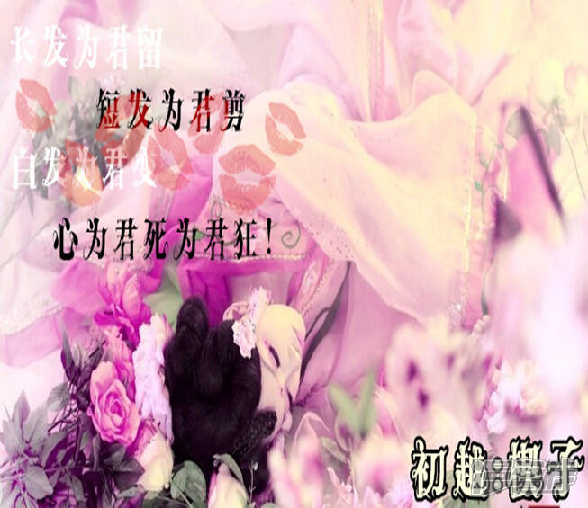《穿越任性代妃王爷宠》初越楔子 第3页