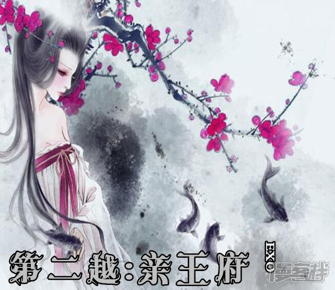 《穿越任性代妃王爷宠》第二越亲王府 第1页