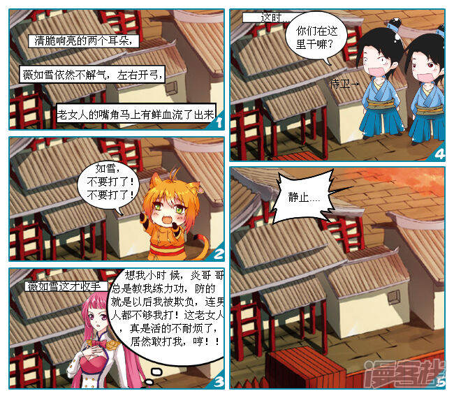 《穿越任性代妃王爷宠》第八越野蛮丫鬟 第11页