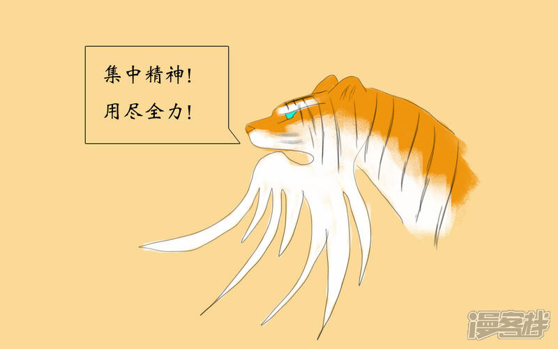 《老虎有礼了》因善弃徒 第11页