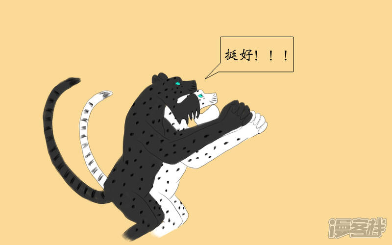 《老虎有礼了》因善弃徒 第3页