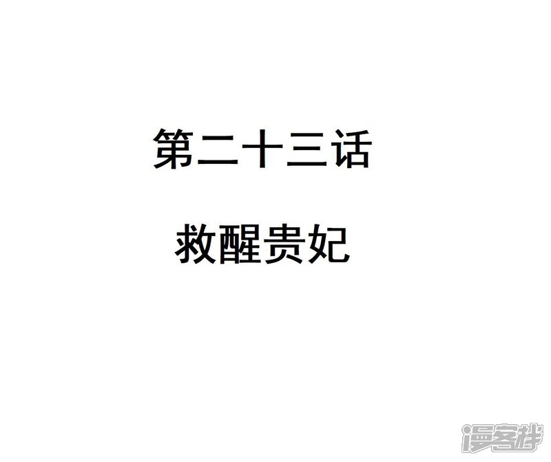 《重生帝女乱天下》第23话 救醒贵妃 第5页