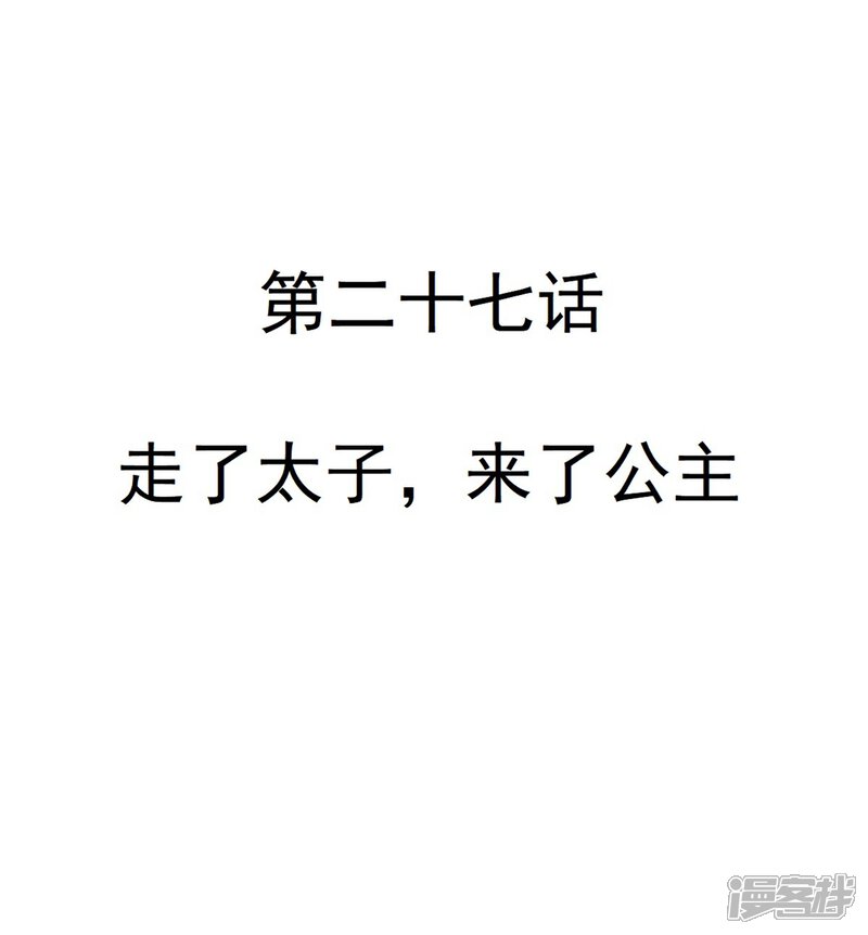 《重生帝女乱天下》第27话 走了太子，来了公主 第5页
