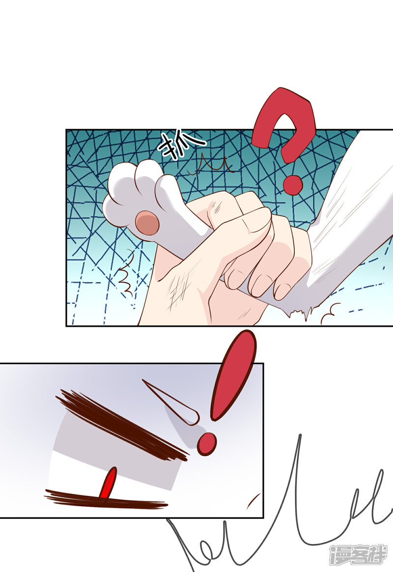 《不要打扰我飞升》第76话 去抓小耗子 第39页
