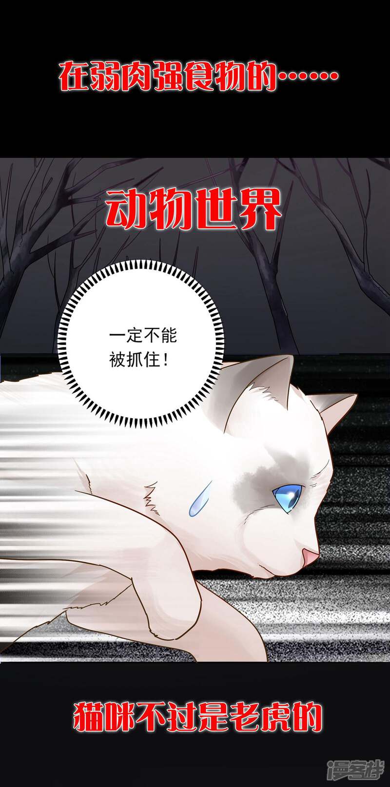《恋爱超速》预告 第1页