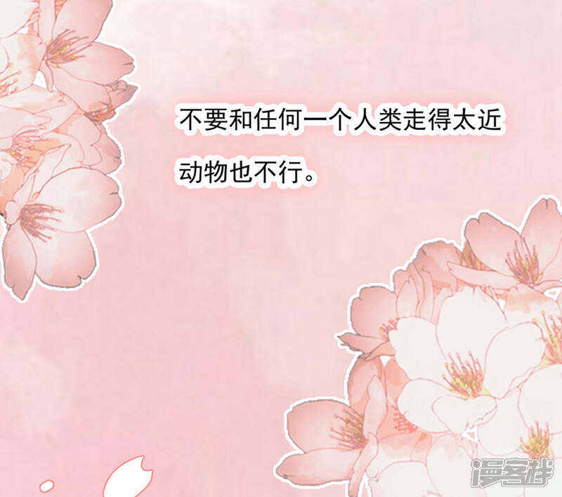 《恋爱超速》第20话 师父，好痒 第3页