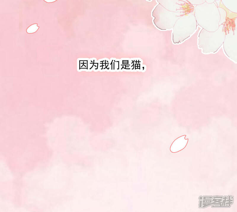 《恋爱超速》第20话 师父，好痒 第4页