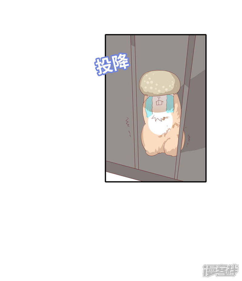 《恋爱超速》番外4 同居日常 第6页