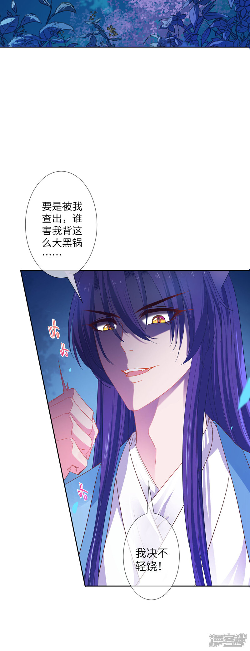 《兽宠女皇》第135话 重回苍狼国！ 第12页