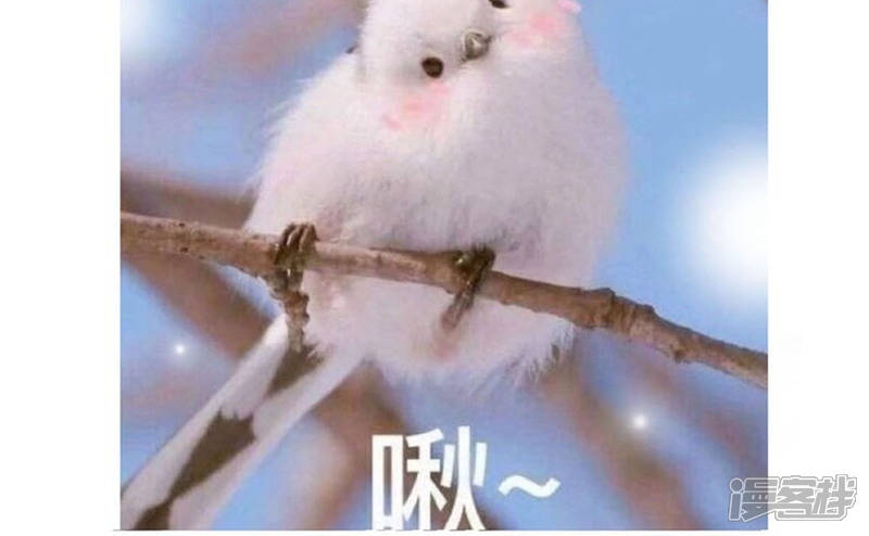 《阎王大人使不得》预告 第15页