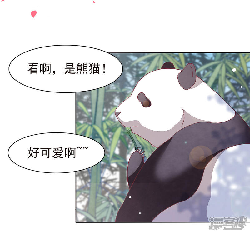 《穿回古代做国宝》序章 第7页