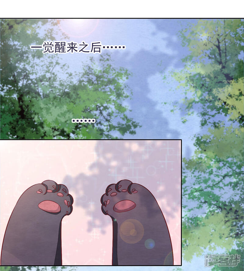 《穿回古代做国宝》序章 第9页