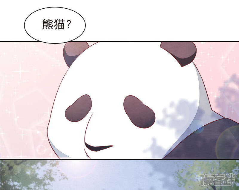 《穿回古代做国宝》第1话1 我变成熊猫了？！ 第18页