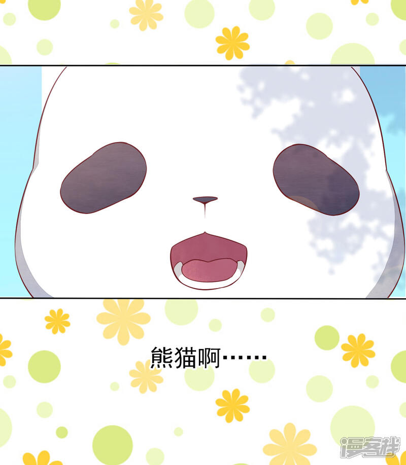 《穿回古代做国宝》第1话1 我变成熊猫了？！ 第23页
