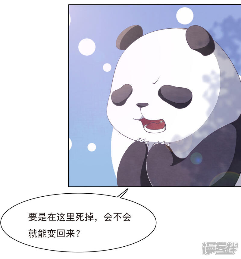 《穿回古代做国宝》第1话1 我变成熊猫了？！ 第29页