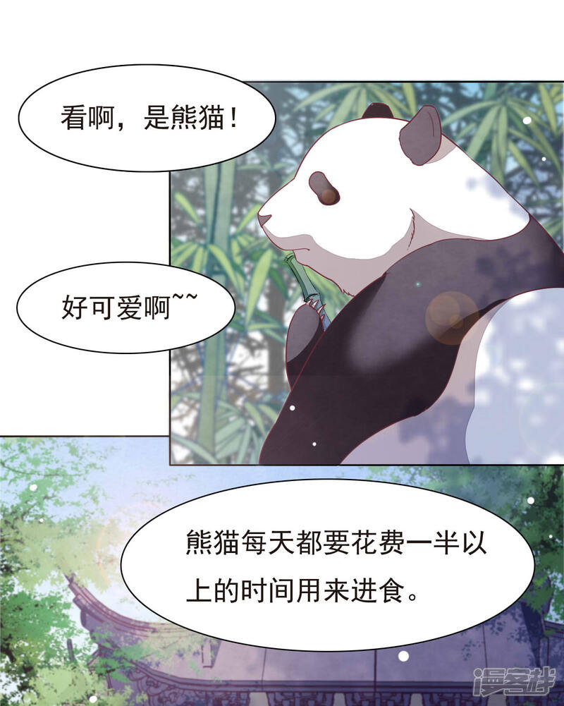 《穿回古代做国宝》第1话1 我变成熊猫了？！ 第3页