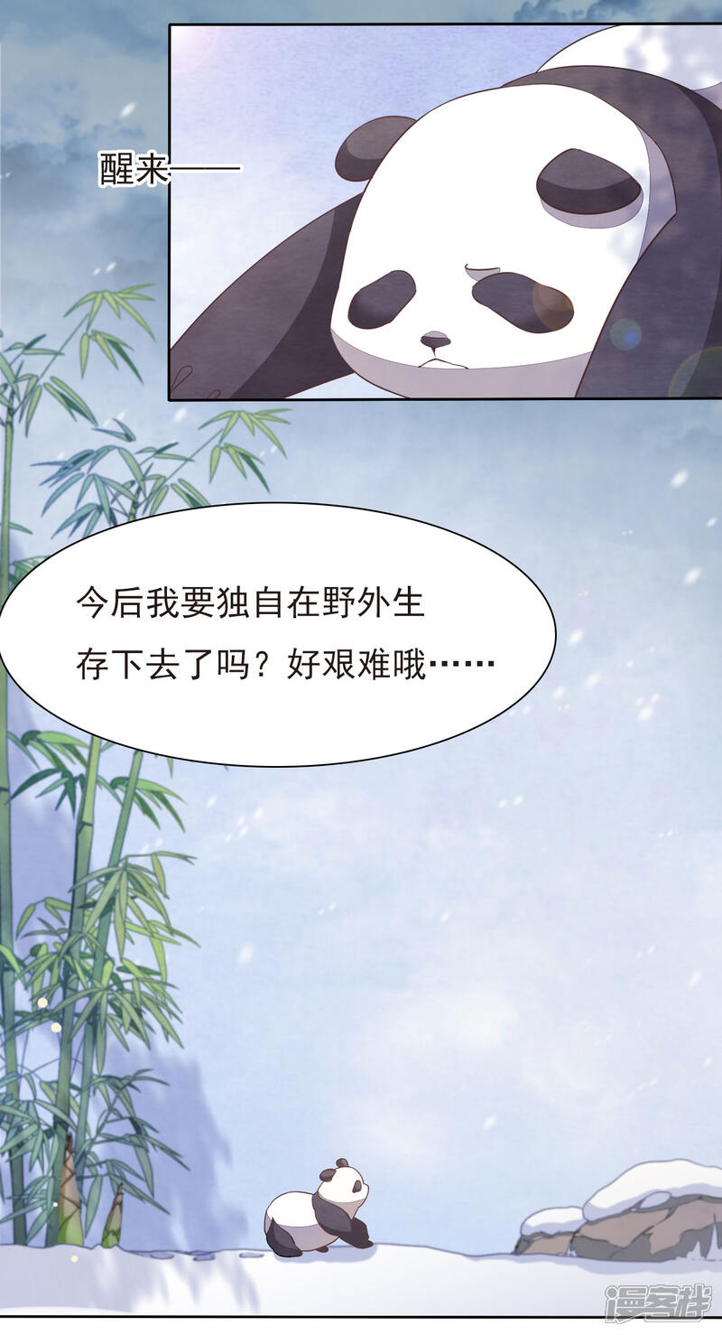 《穿回古代做国宝》第1话1 我变成熊猫了？！ 第49页