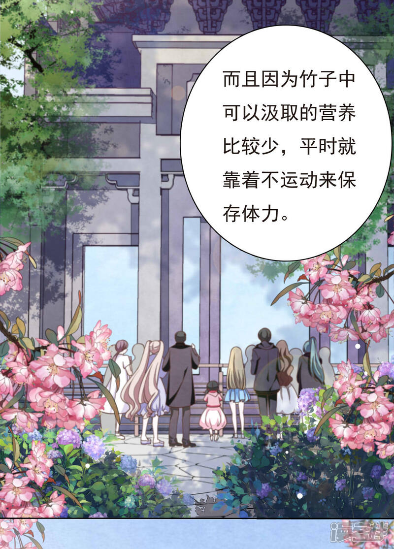 《穿回古代做国宝》第1话1 我变成熊猫了？！ 第4页