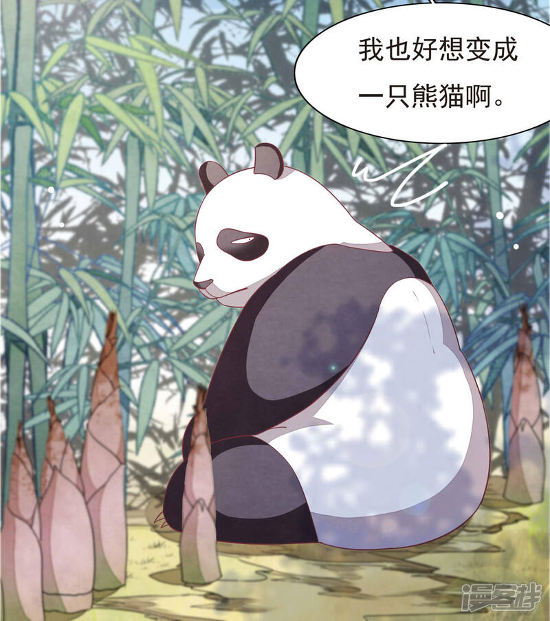 《穿回古代做国宝》第1话1 我变成熊猫了？！ 第7页