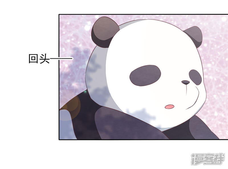 《穿回古代做国宝》第1话2 我变成熊猫了？！ 第41页