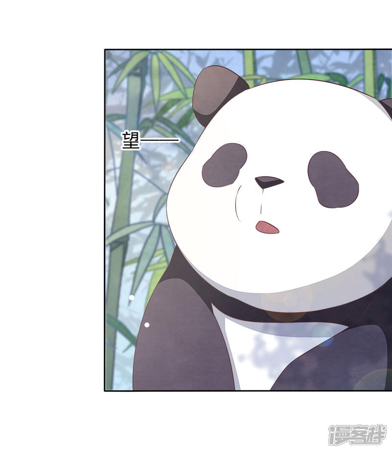 《穿回古代做国宝》第1话2 我变成熊猫了？！ 第43页