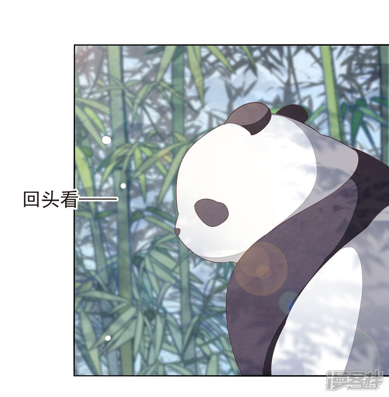 《穿回古代做国宝》第1话2 我变成熊猫了？！ 第46页
