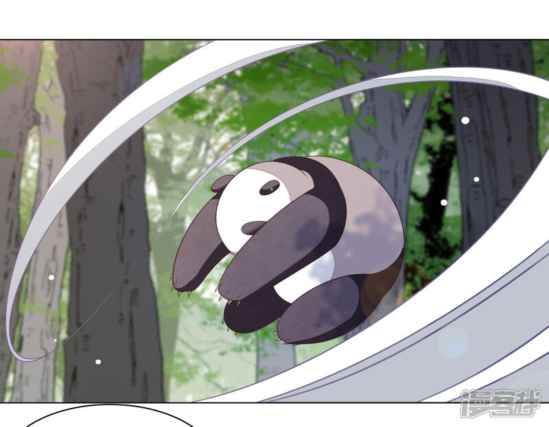 《穿回古代做国宝》第46话 是……熊精啊！ 第11页