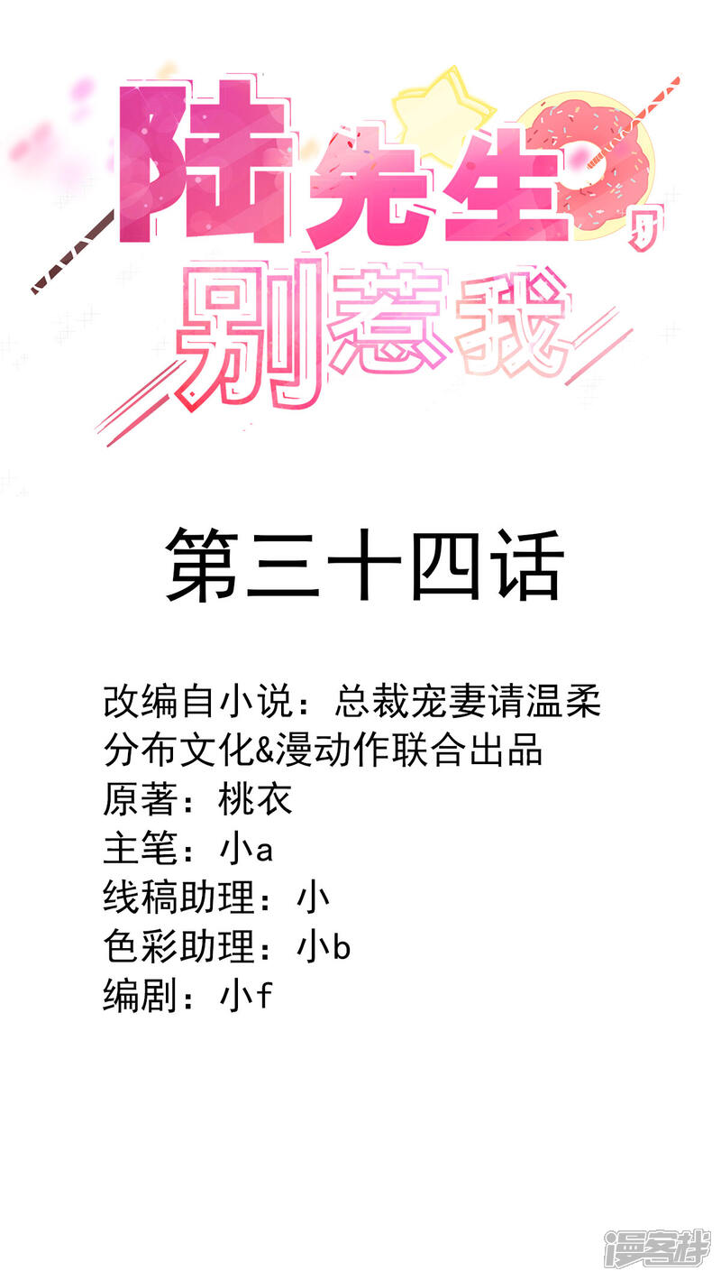 《陆先生，别惹我》第34话 为什么吵架？ 第2页