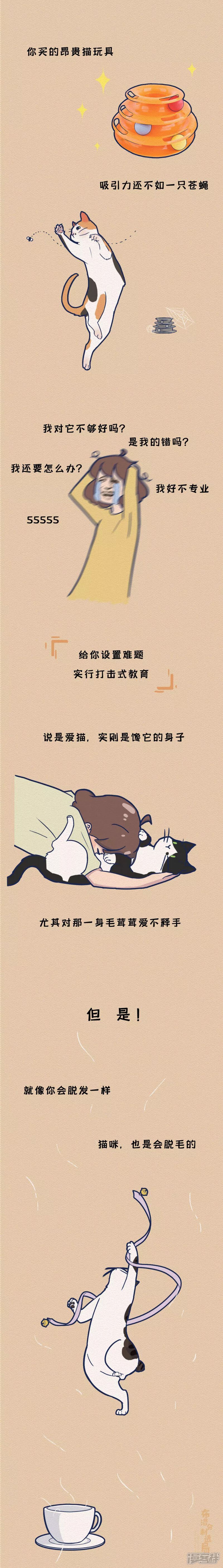 《布洛分制造局》第十七话为什么我们会沉迷撸猫？ 第5页
