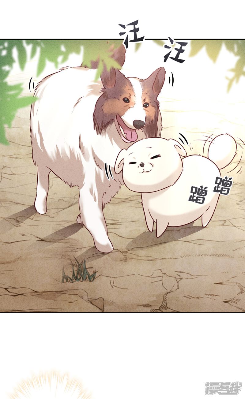 《少帅,你老婆要翻天!》第38话 绑定你 第10页